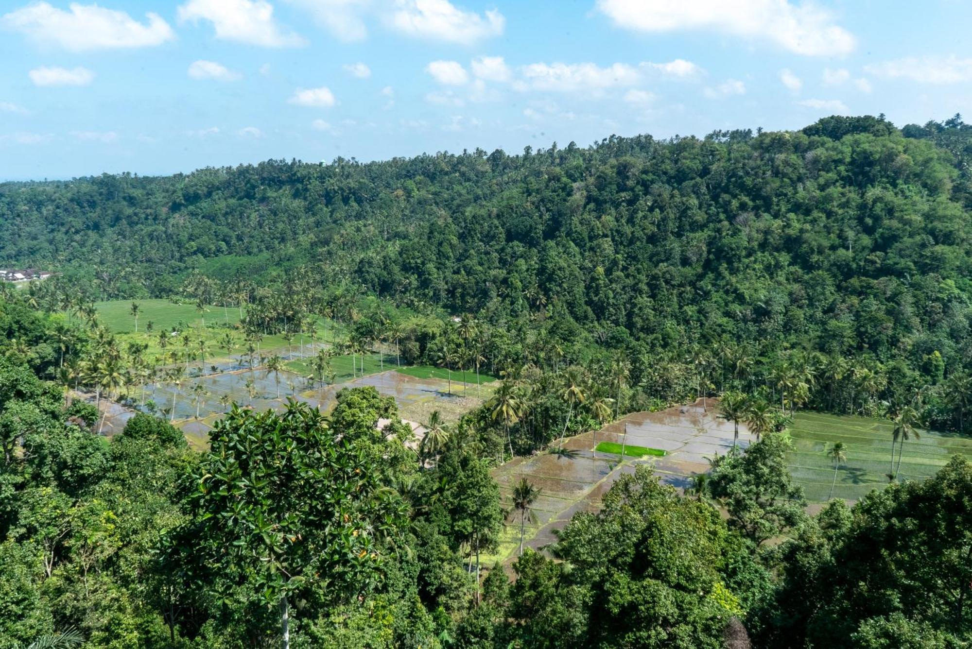 Hotel Domisili Ijen Cliff By Fays Hospitality Banyuwangi  Exterior foto